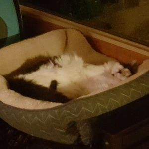 Meet your Posher, Karen